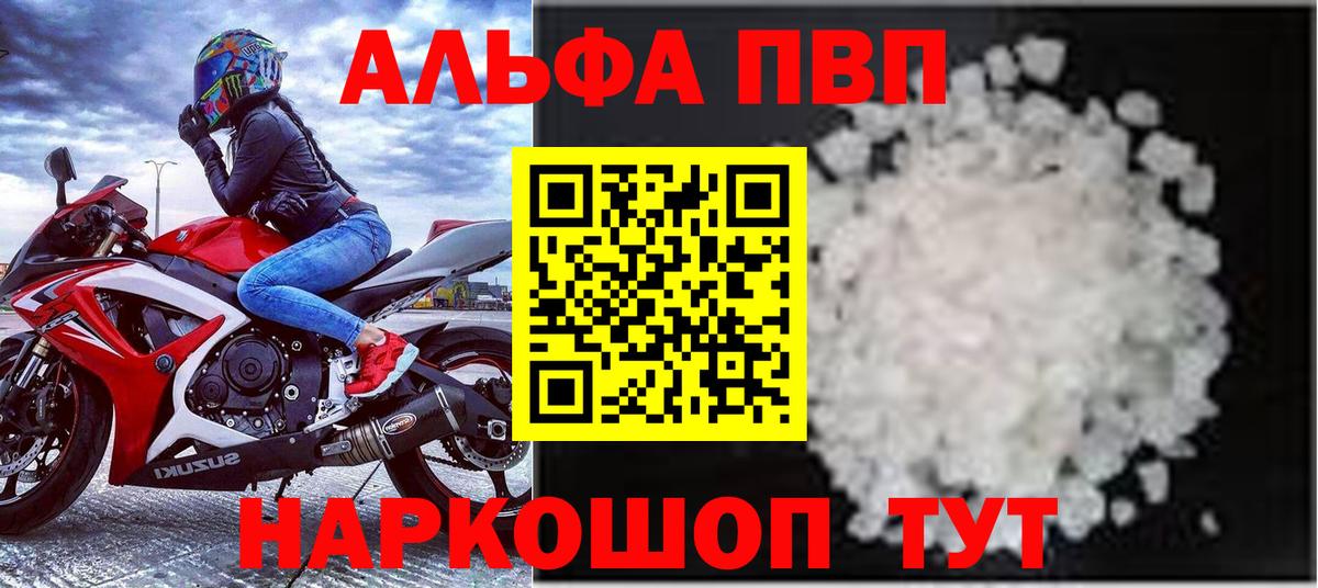 APVP СК Сыктывкар
