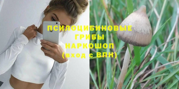 альфа пвп Новокубанск