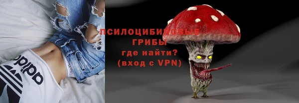 альфа пвп Новокубанск