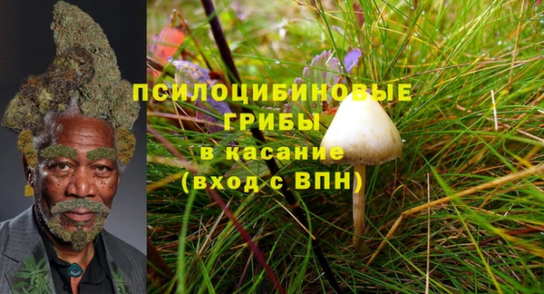 MDMA Premium VHQ Новозыбков