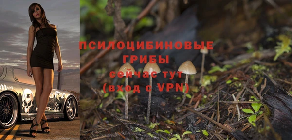альфа пвп Новокубанск