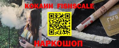 крисы Сланцы
