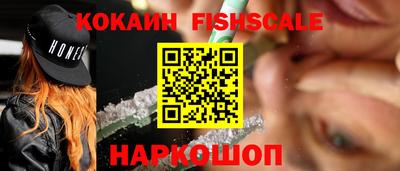 крисы Сланцы
