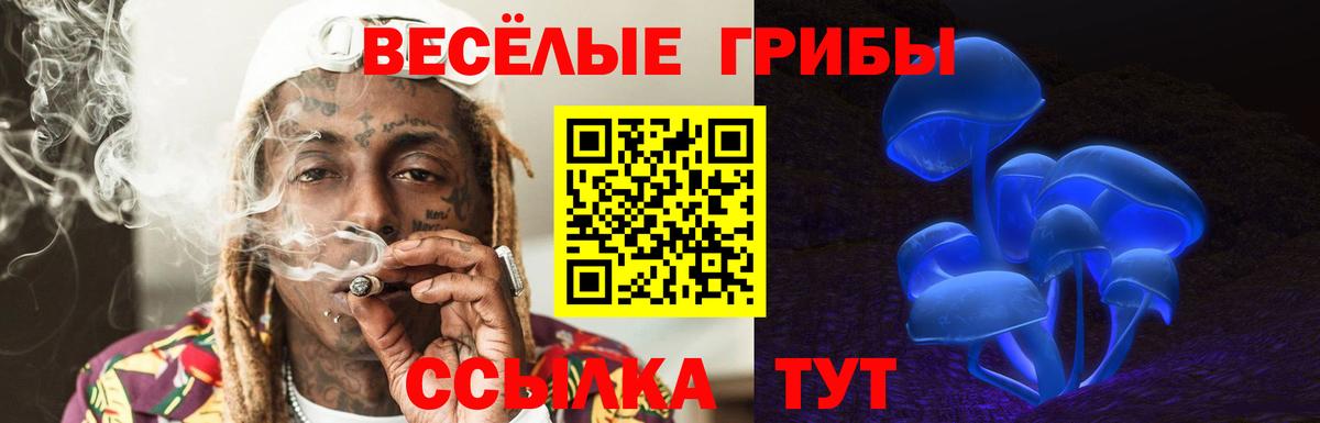 Псилоцибиновые грибы мухоморы Сыктывкар
